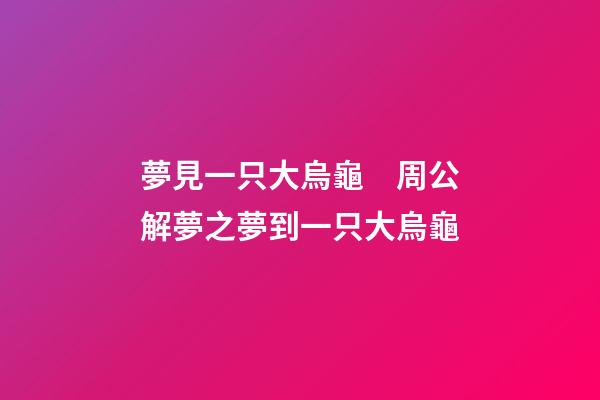 夢見一只大烏龜　周公解夢之夢到一只大烏龜